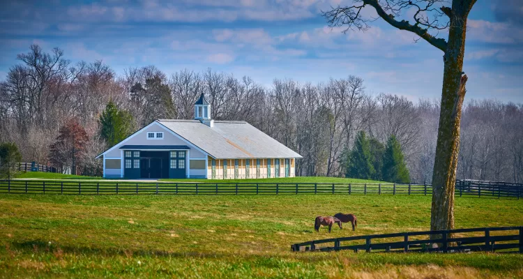 Horse barn