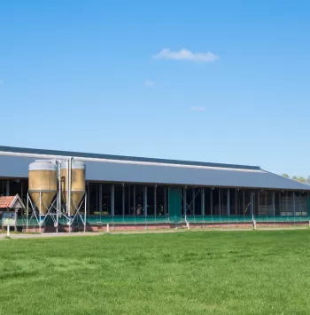Barn
