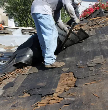 Roof